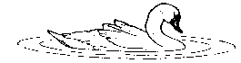 SWANleft.gif - 0.7 K